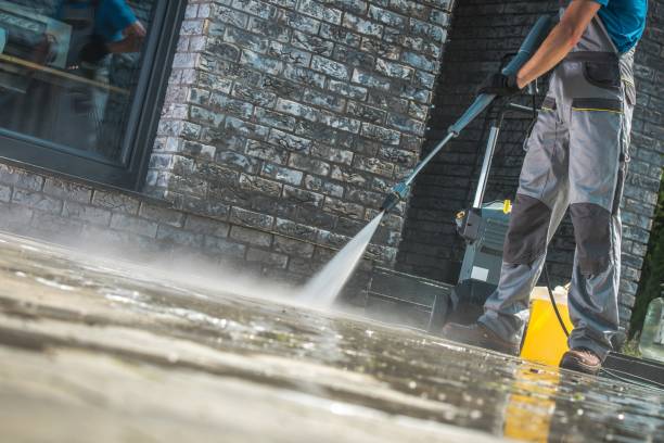 Best Gutter Cleaning  in Shelbyville, TN